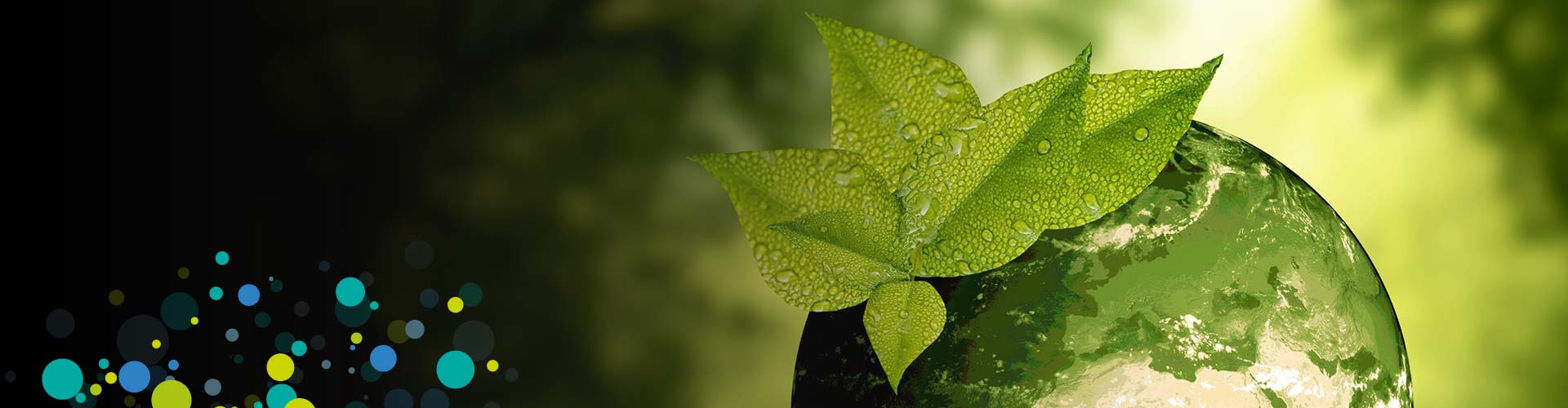 Impliqué pour lenvironnement