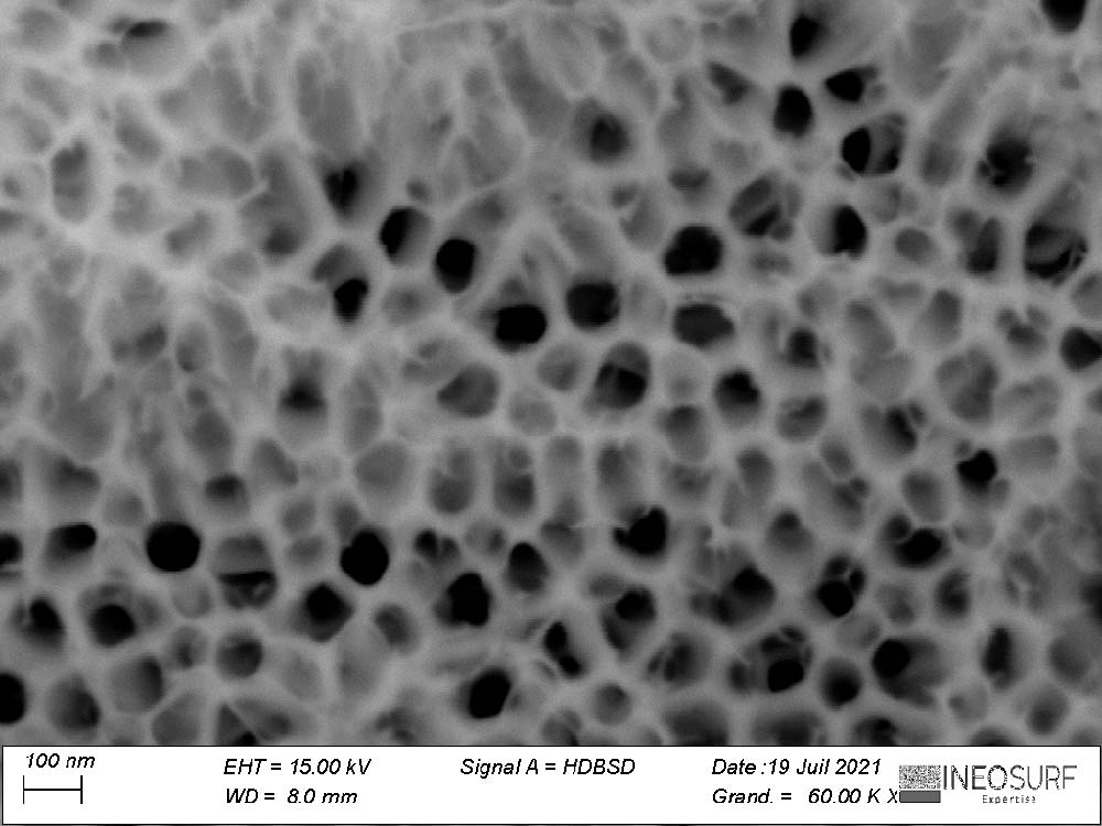 MEB Surface OAP : anodisation phosphorique sur alliage d’aluminium
